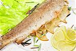 trout fish baked with greens closeup