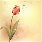 Pastel background with tulip and contour hearts