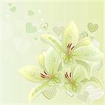 Pastel background with lilies and contour hearts