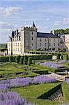 View with Lavender in park of Chateau de Valencay