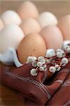 Brown chicken eggs in an egg holder and catkins. Shallow dof, focus on catkins