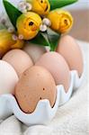 Brown chicken eggs in an egg holder and yellow tulips with catkins. Shallow dof