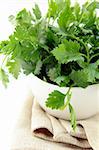 green, organic parsley in a white cup