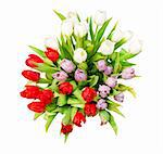 bouquet of beautiful tulips on white