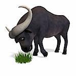 very cute and funny cartoon buffalo. 3D rendering with clipping path and shadow over white