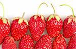 many red strawberries isolated on white