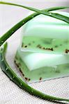 Aloe vera leaves and handmade soap