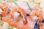 Salmon fish and seafood tasty gourmet dish closeup
