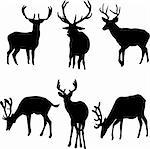 deers collection - vector