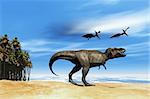 Two Pterodactyl flying dinosaurs fly over beastly Tyrannosaurus Rex at the seashore in prehistoric times.