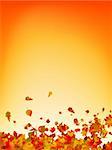 Autumn leaves background. EPS 8 vector file included