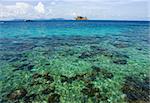 Beautiful coral can view with clear water