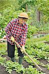 Senior woman gardening