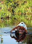 Borneo the pirate. The orangutan floats in a boat, rowing with hands, as oars. Borneo, Indonesia.