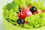 Vegetable salad with red radish.Healthy eating
