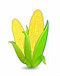 corn ears icon isolated on white background