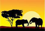 vector illustration of african landscape with elephants