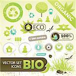 25 Eco Design Elements And Icons,  Vector Illustration