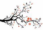 love bird with gift box, sitting on a tree branch, vector background