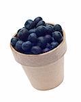 Blueberry Harvest Concept Isolated on White with a Clipping Path.