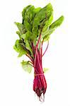 fresh bunch of beetroot photo on the white background