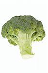 Fresh green broccolli isolated on the white background