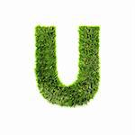 3d grass letter isolated on white background - U