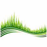 Vector illustration of green grass wave background.