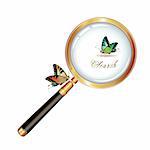 Magnifying glass and butterfly isolated on white background