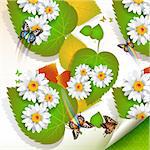 Flowers over leaves and butterflies, vector background