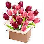 Open box full of red and purple tulips