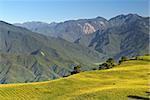 Mountain scenery with golden hill under blue sky.