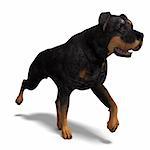 Rottweiler Dog. 3D rendering with clipping path and shadow over white