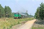 Passenger train passing through the forest