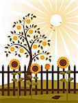 vector apple tree and picket fence with sunflowers, Adobe Illustrator 8 format