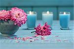 Pink chrysanthemum flowers in bowl of water with candles