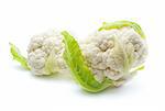 Two fresh ripe whole cauliflower cabbages close-up isolated on white background