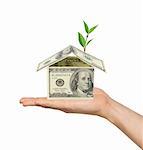 Hand and money house with green plant isolated on white background