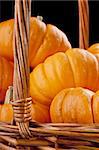 Small orange pumpkins symbolising autumn holidays and used in decorative works.