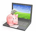 Electronic bank account. Piggy bank and laptop. Objects isolated over white