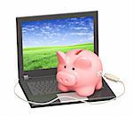 Electronic bank account. Piggy bank and laptop. Objects isolated over white