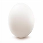 Close Up Of Egg, Isolated On White Background, Vector Illustration