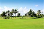 golf course tropical palm trees in Mexico