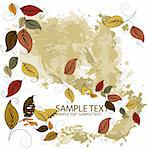 Autumn leaves background