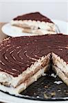 Close-up of delicious tiramisu cake on a plate. Shallow dof