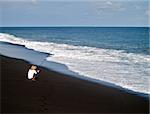 Surreal beach with black sand on Bali island.