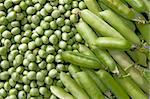 Background of Fresh ripe green peas and pods