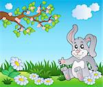 Bunny on meadow with daisies - vector illustration.