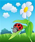 Cute ladybug with flower - vector illustration.