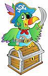 Pirate parrot on treasure chest - vector illustration.